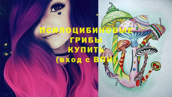 a pvp Алзамай