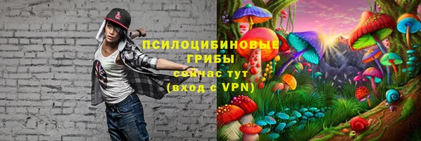 герыч Алексин