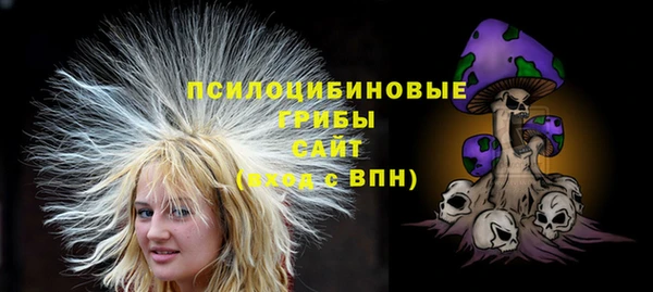 a pvp Алзамай