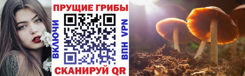Галлюциногенные грибы GOLDEN TEACHER  хочу наркоту  Орлов 
